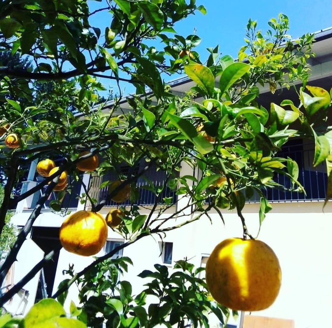 B&B Verdeoliva Modugno Εξωτερικό φωτογραφία