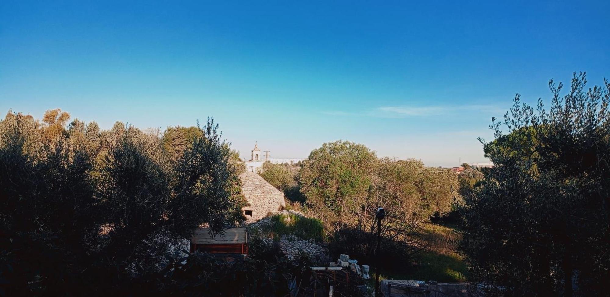 B&B Verdeoliva Modugno Εξωτερικό φωτογραφία