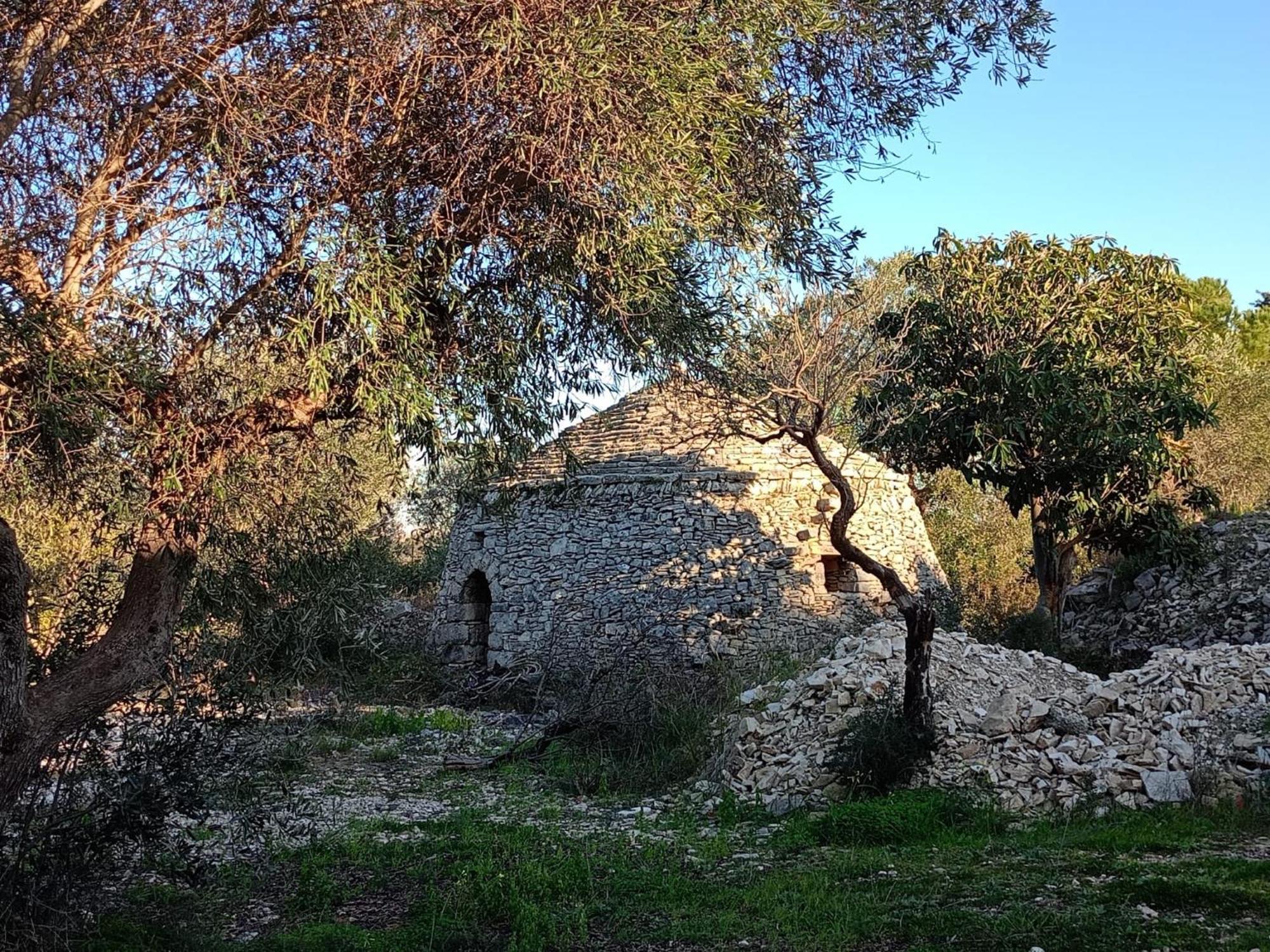 B&B Verdeoliva Modugno Εξωτερικό φωτογραφία
